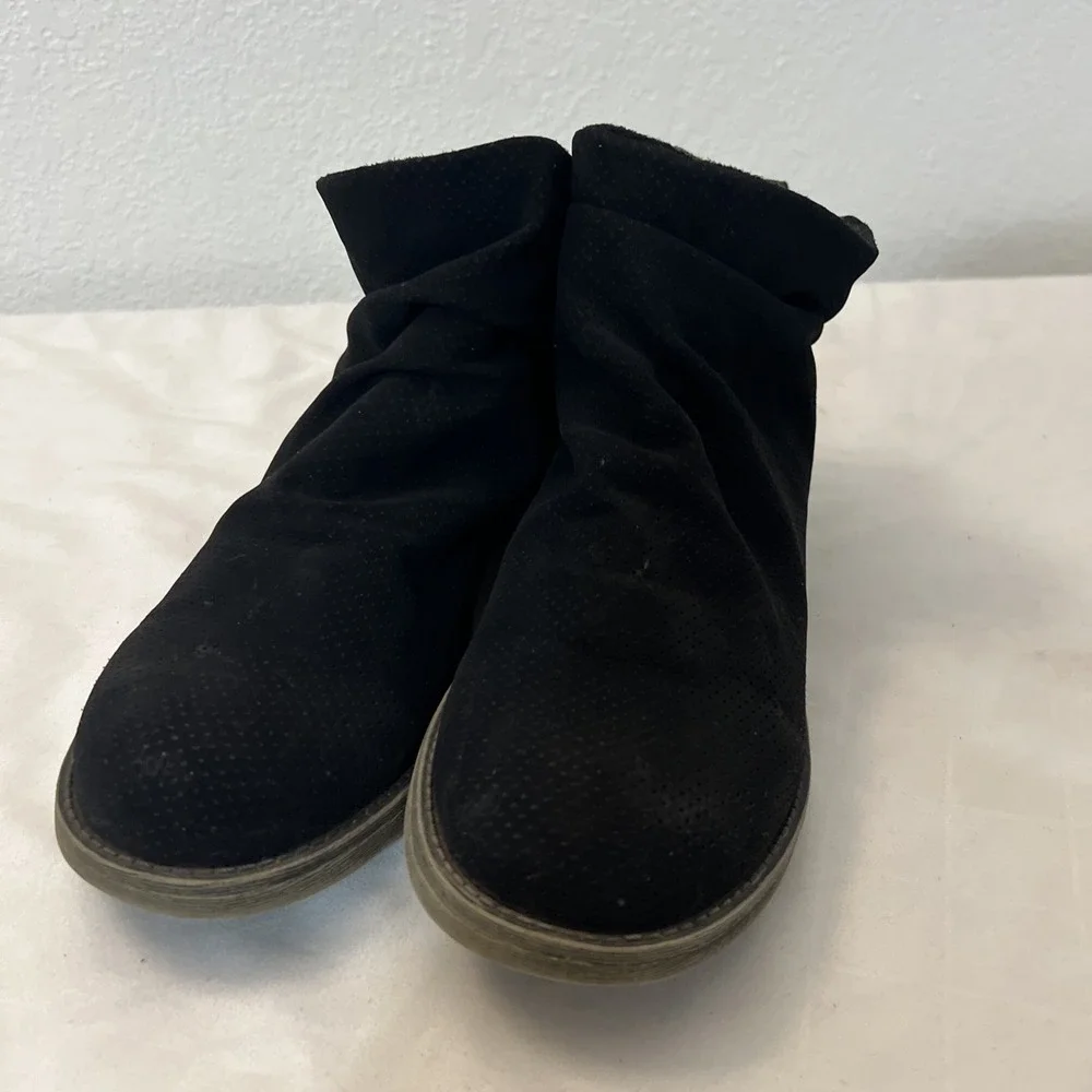 Rocket Dog july 2019